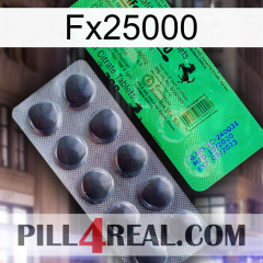 Fx25000 new04